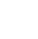 Traditional Software